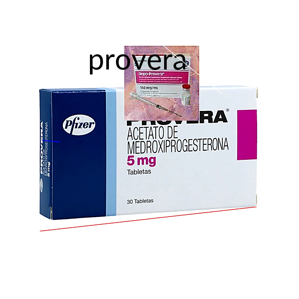 Provera centrale achat